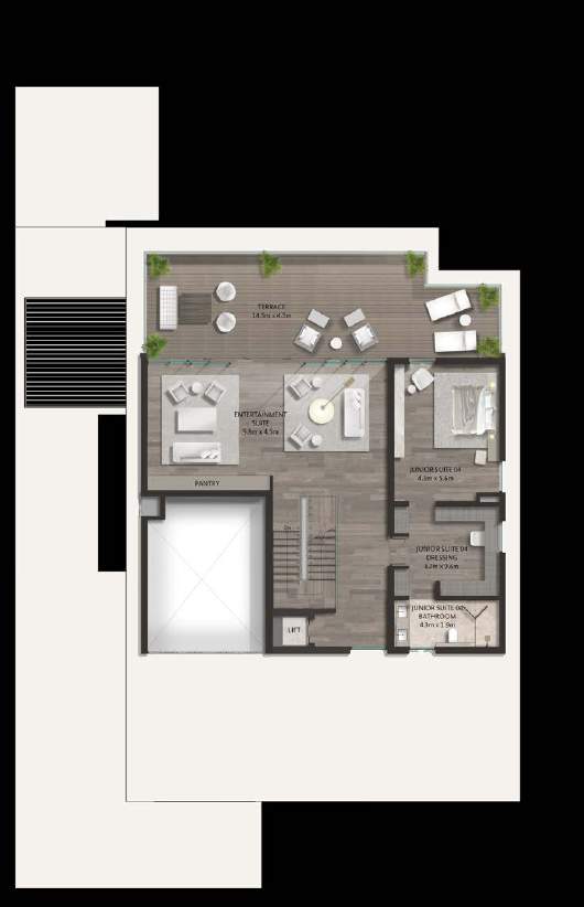 Alaya 24