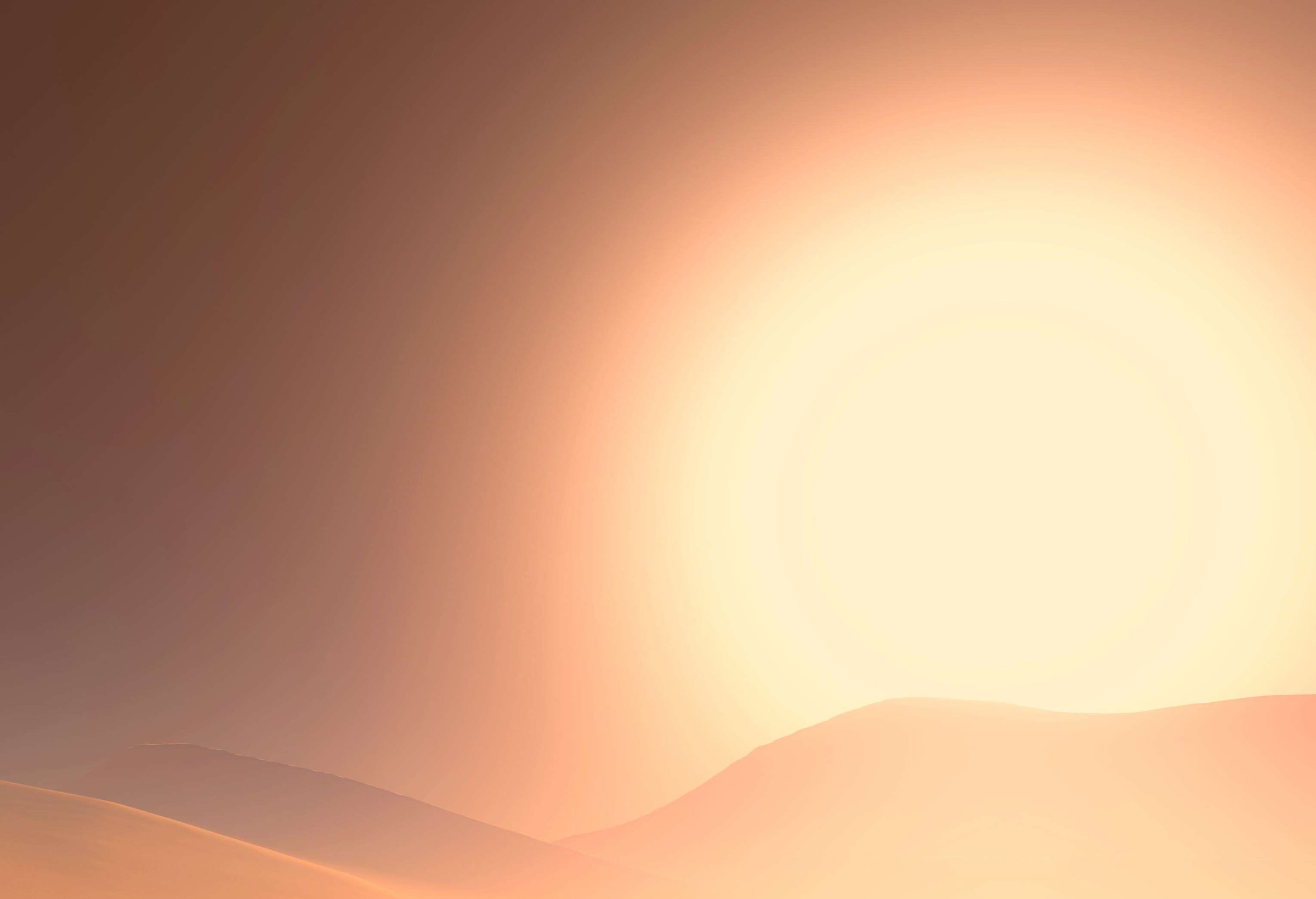 Elaris 14